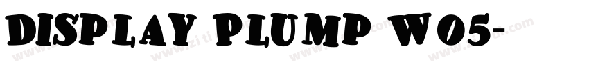 Display Plump W05字体转换